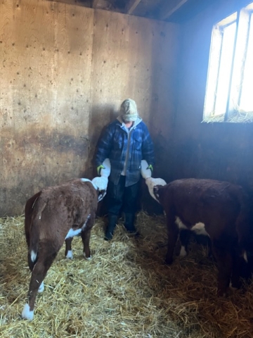 BC Livestock Sale Image