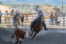 BC Livestock Sale Image