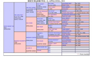 BC Livestock Sale Image