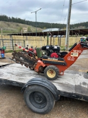 BC Livestock Sale Image