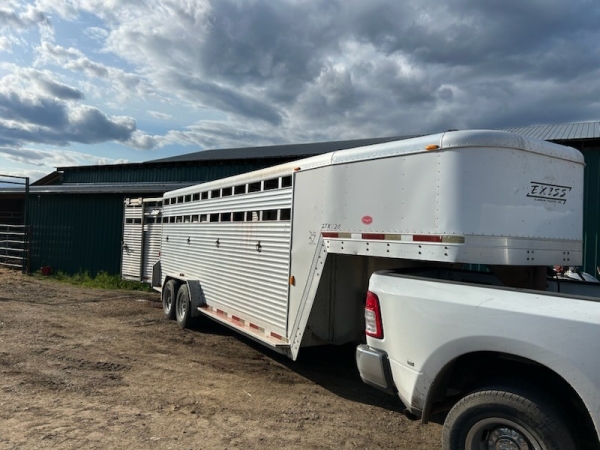 BC Livestock Sale Image