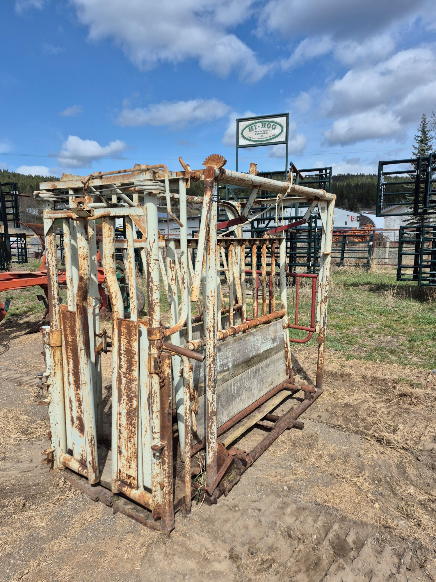 BC Livestock Sale Image