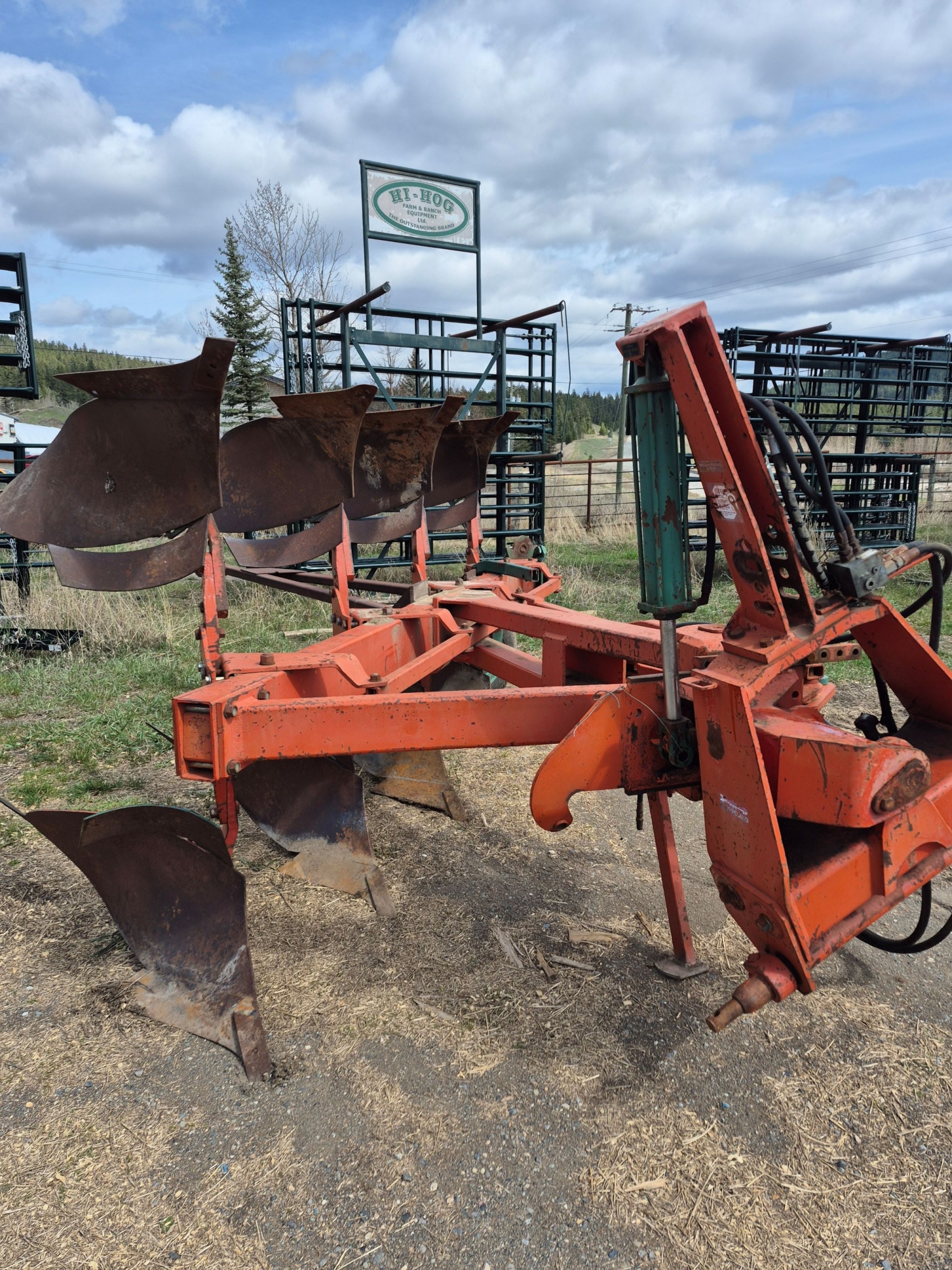 BC Livestock Sale Image