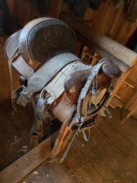 BC Livestock Sale Image