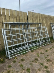 BC Livestock Sale Image