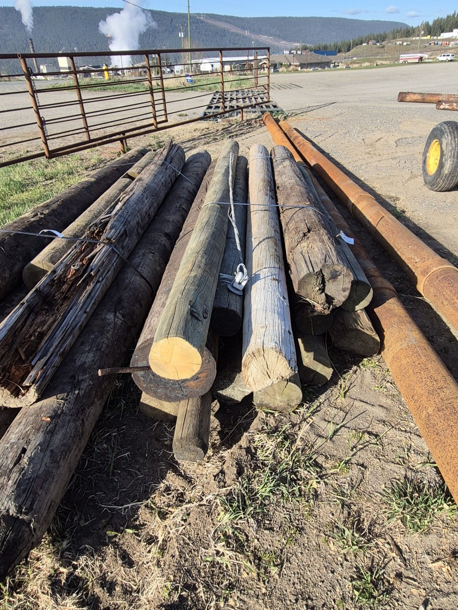 BC Livestock Sale Image