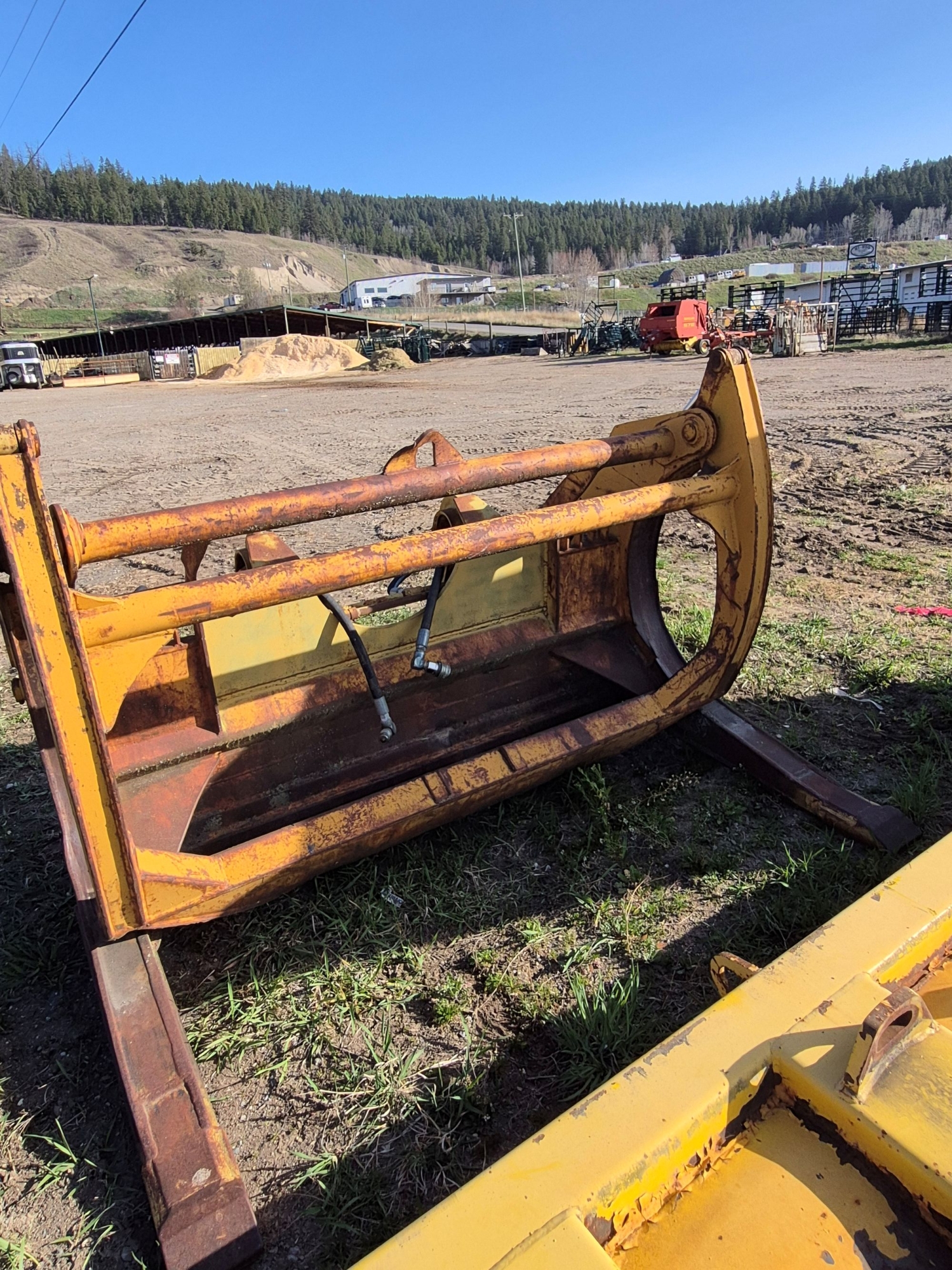 BC Livestock Sale Image