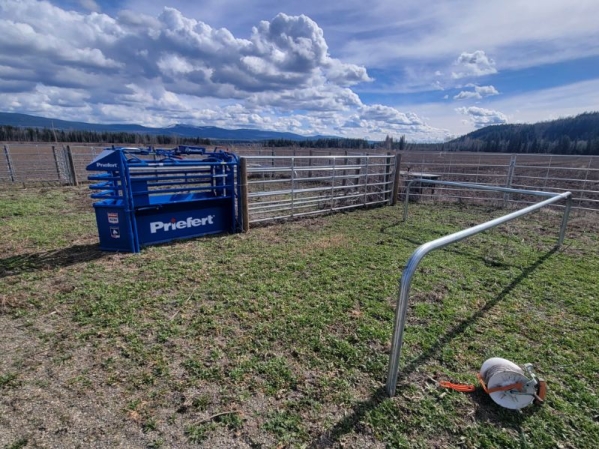 BC Livestock Sale Image