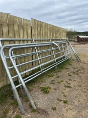 BC Livestock Sale Image