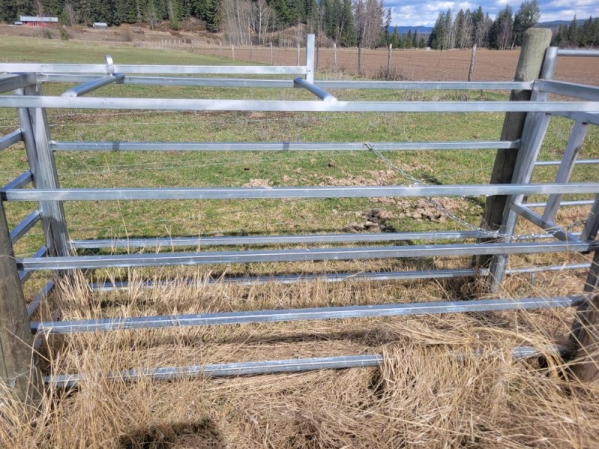 BC Livestock Sale Image