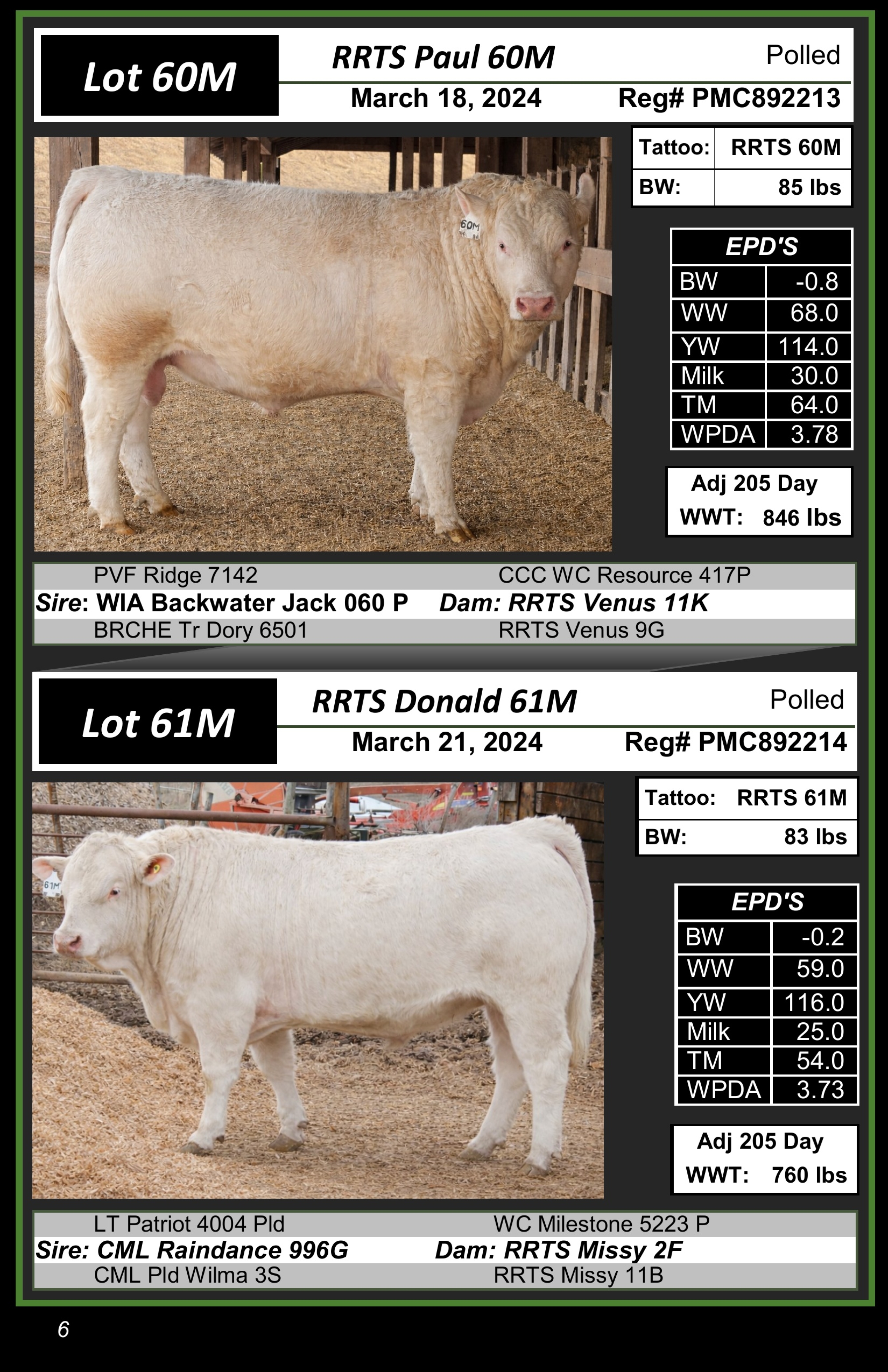 BC Livestock Sale Image