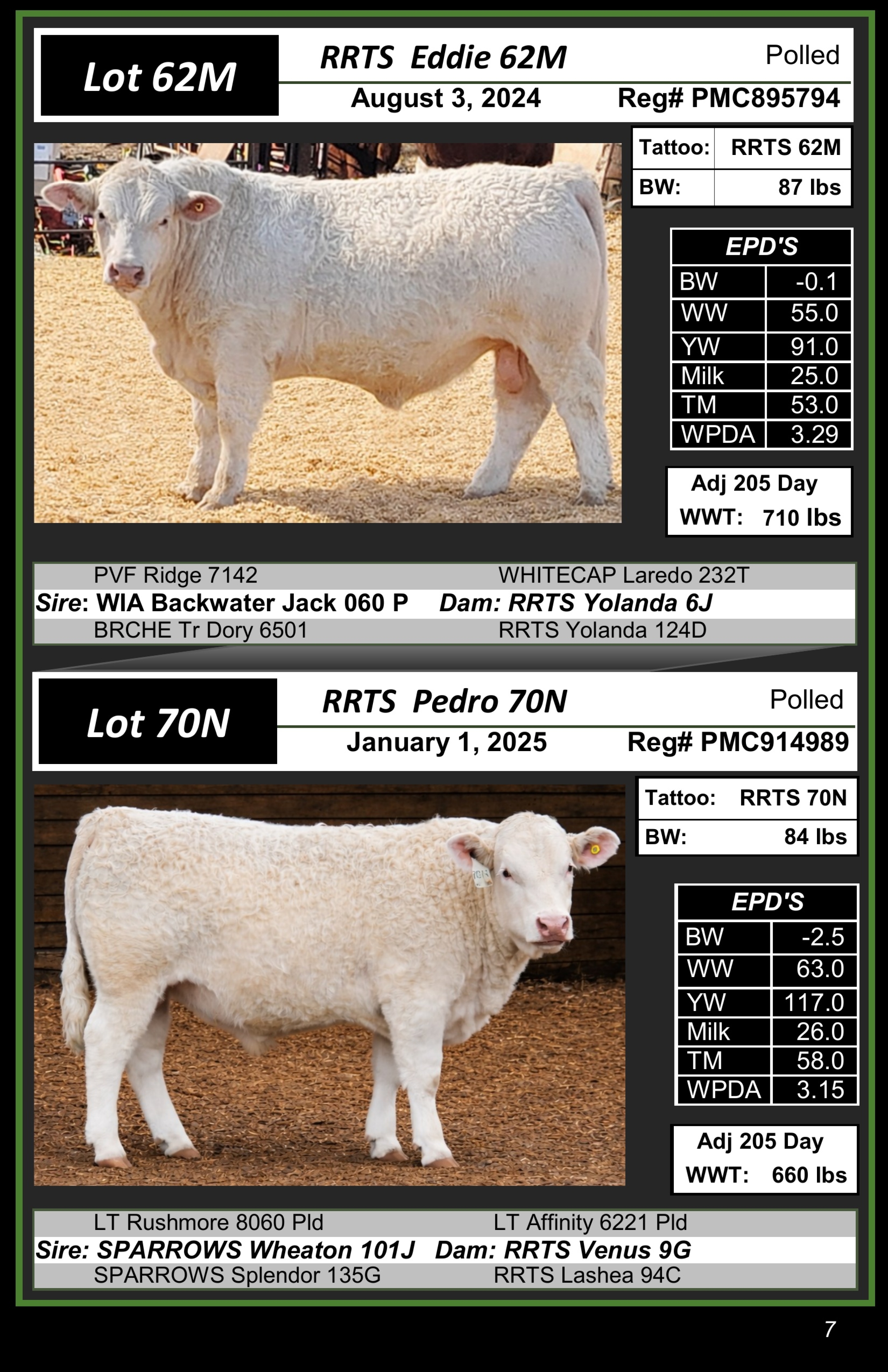 BC Livestock Sale Image