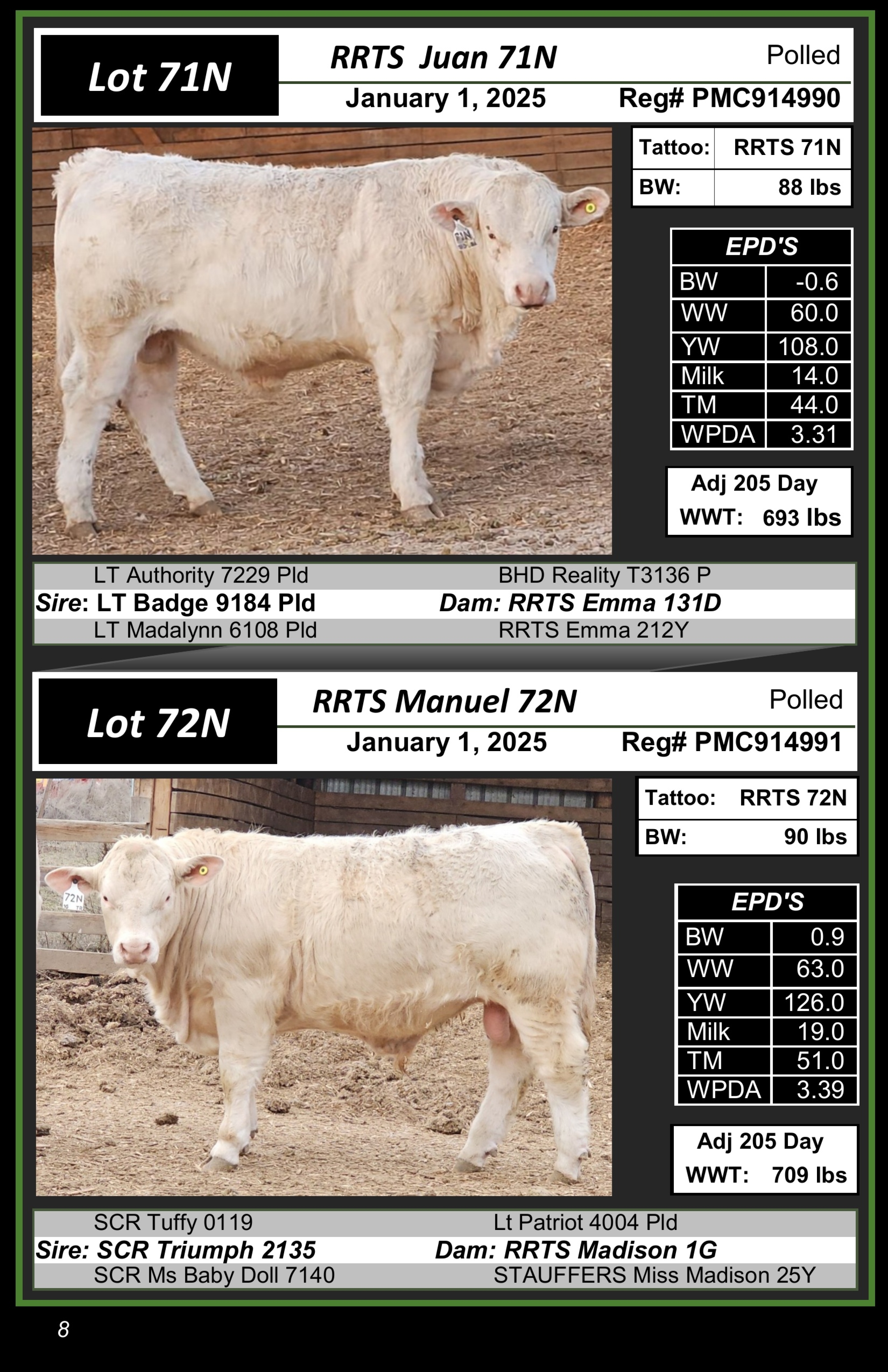 BC Livestock Sale Image