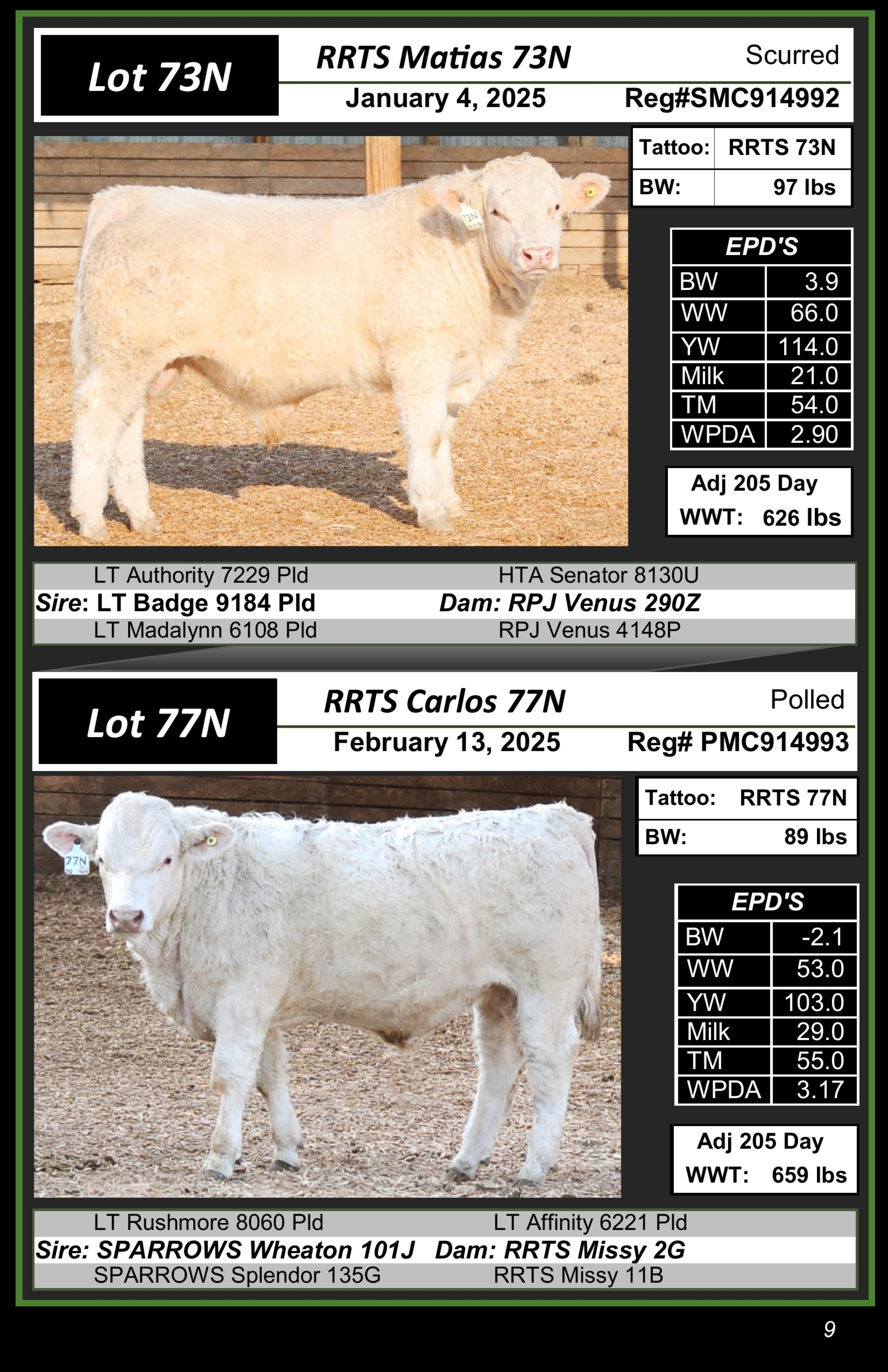 BC Livestock Sale Image