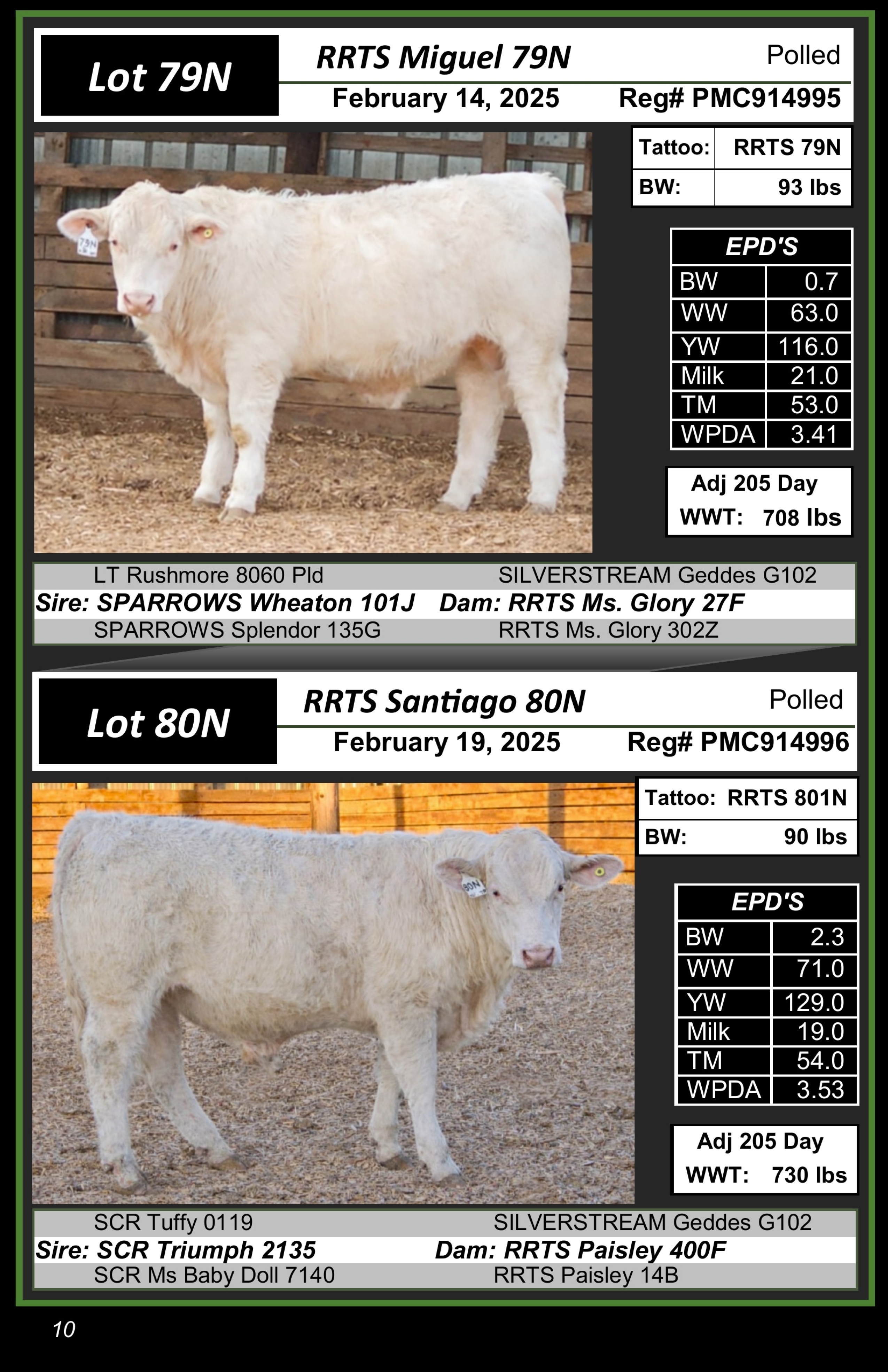 BC Livestock Sale Image
