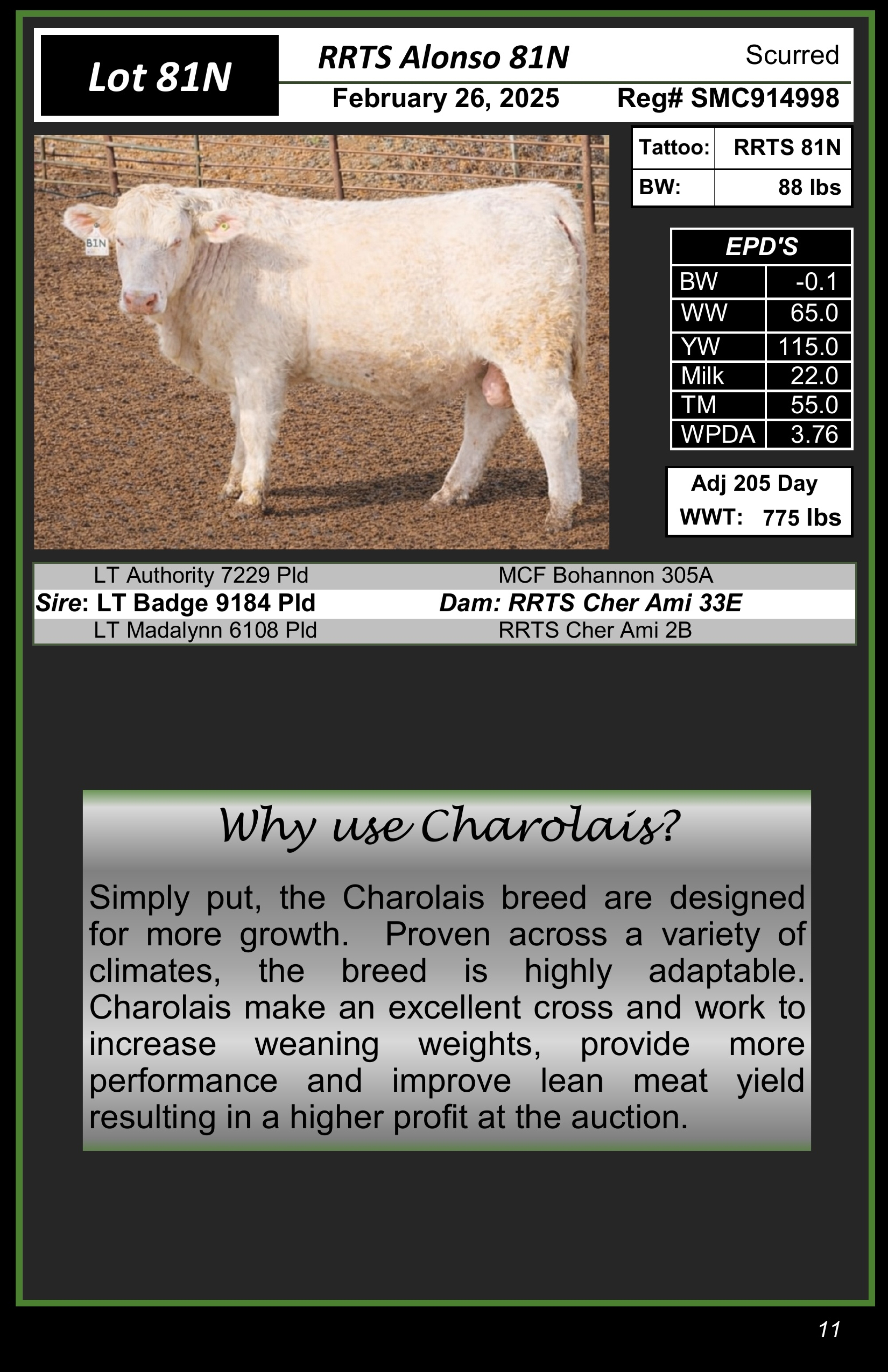 BC Livestock Sale Image