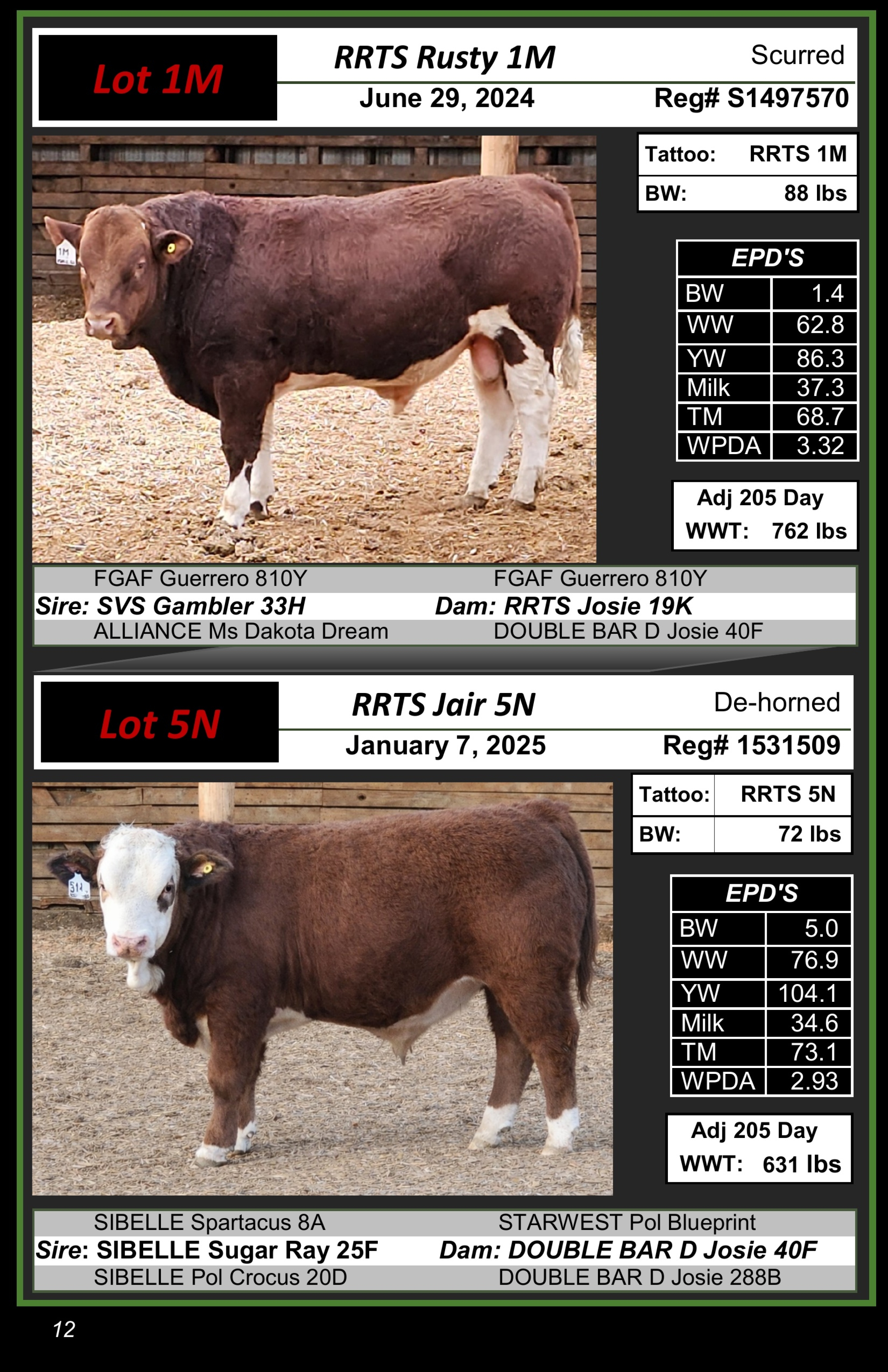 BC Livestock Sale Image