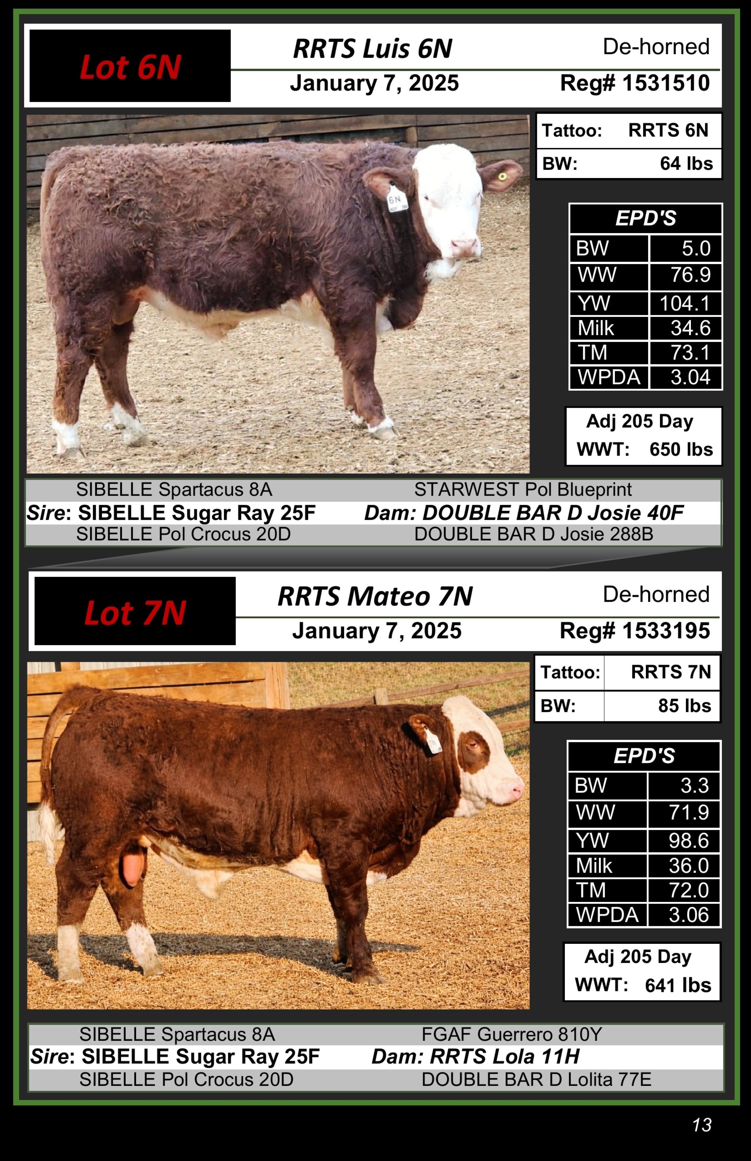 BC Livestock Sale Image