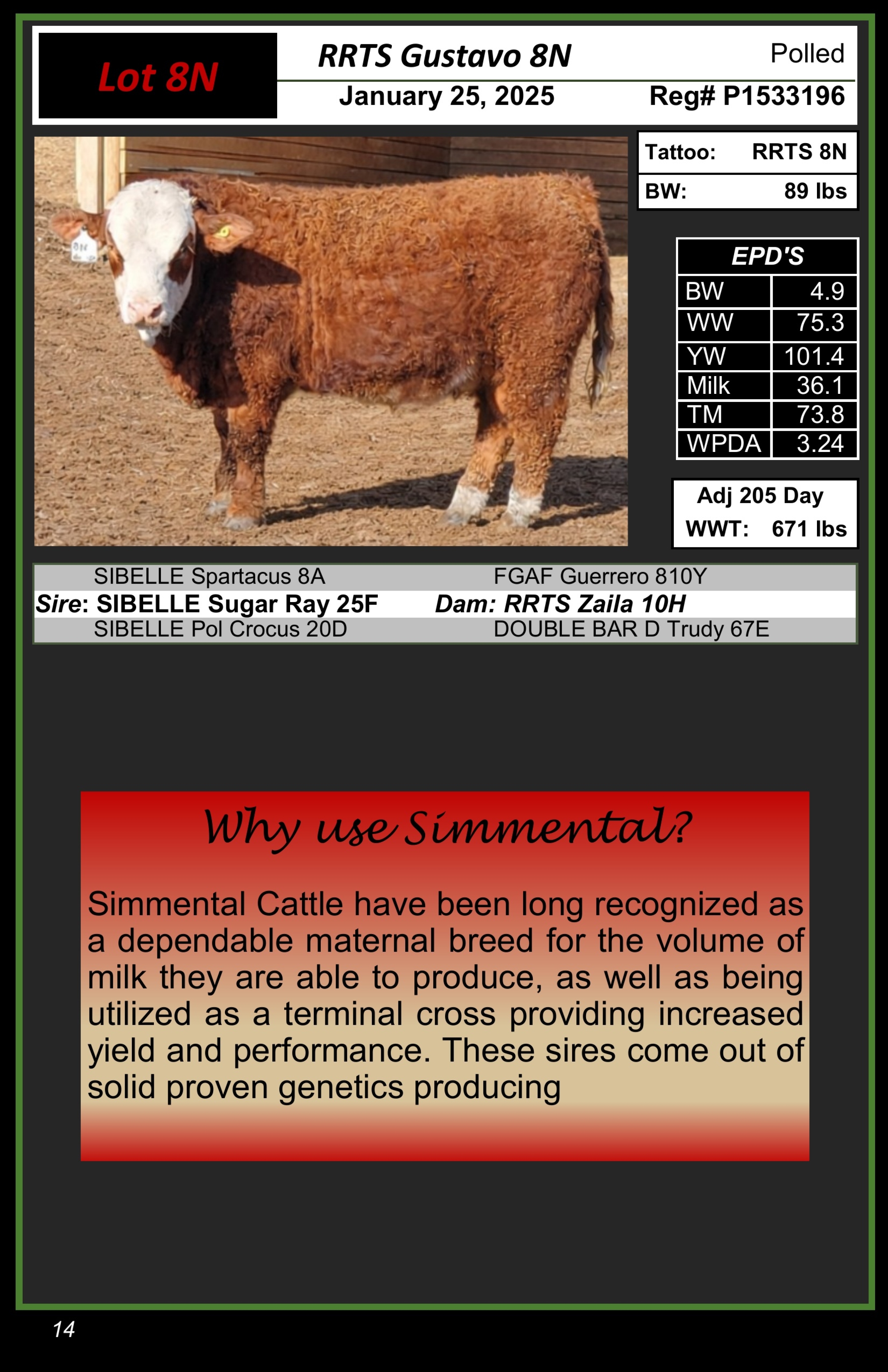 BC Livestock Sale Image