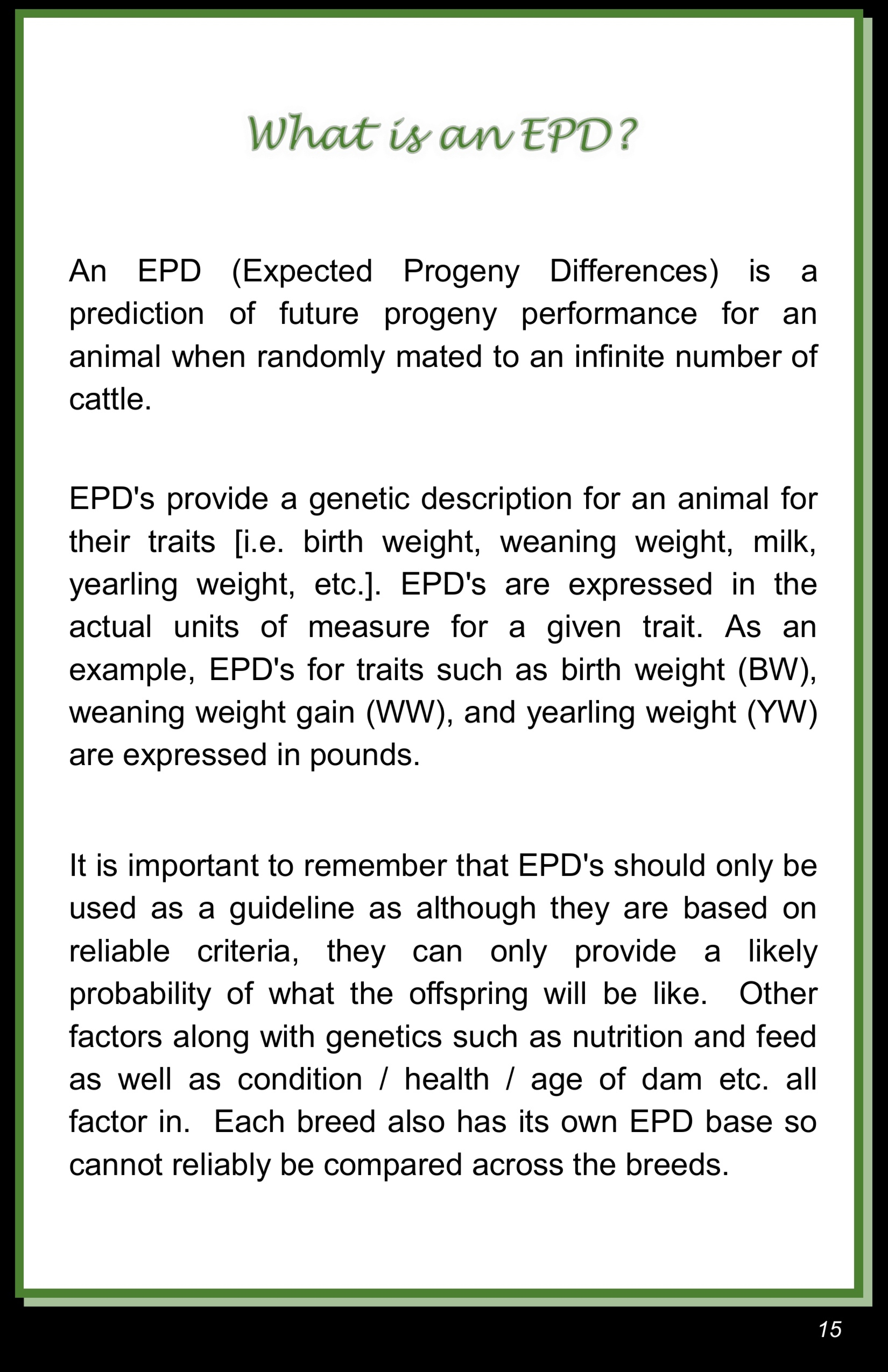 BC Livestock Sale Image