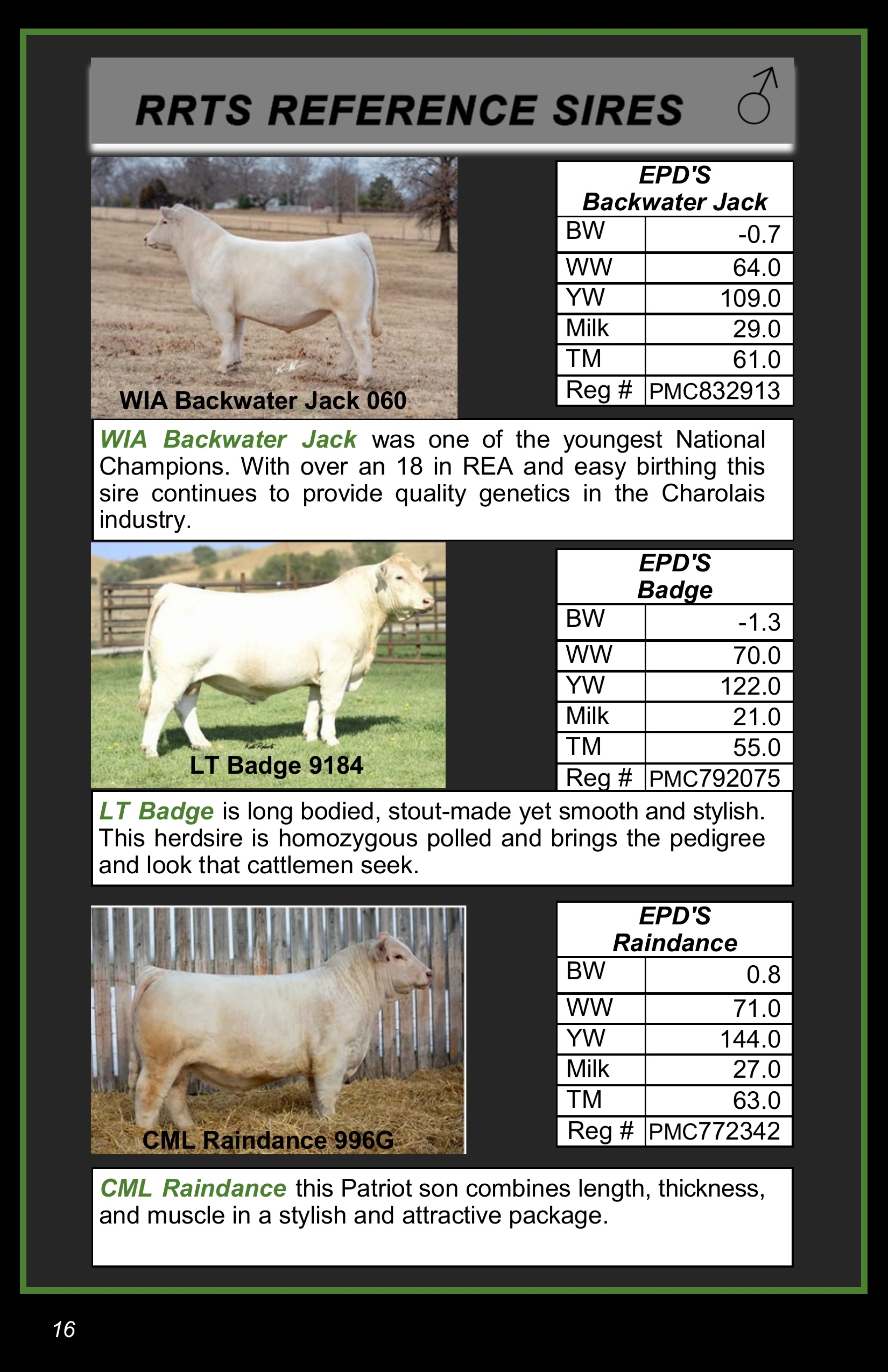 BC Livestock Sale Image