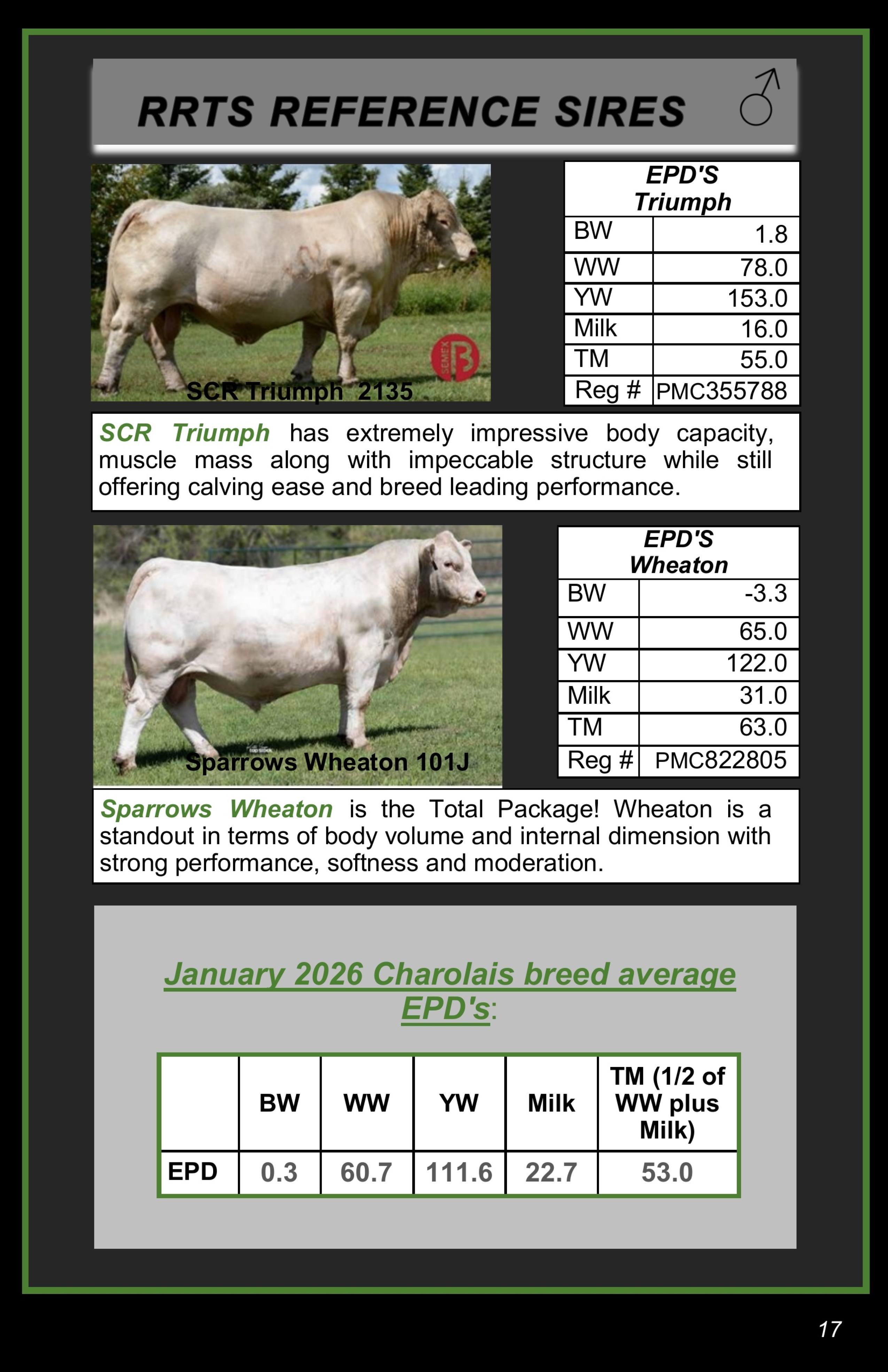 BC Livestock Sale Image