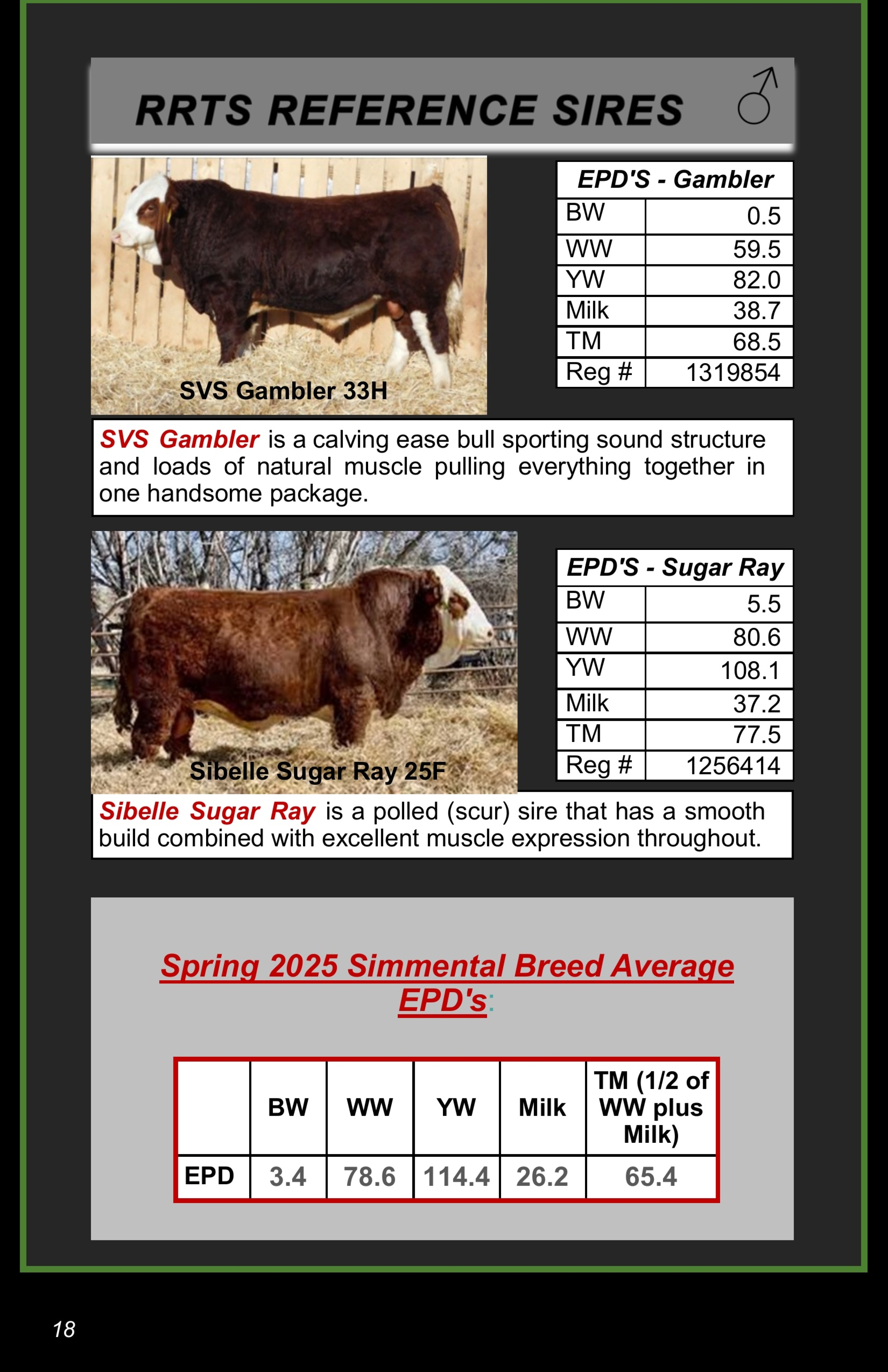 BC Livestock Sale Image