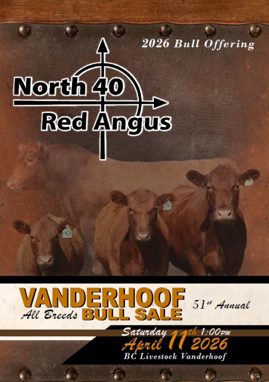 BC Livestock Sale Image