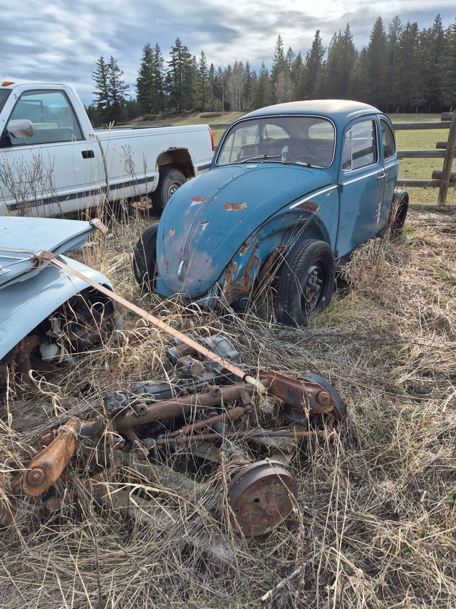 BC Livestock Sale Image