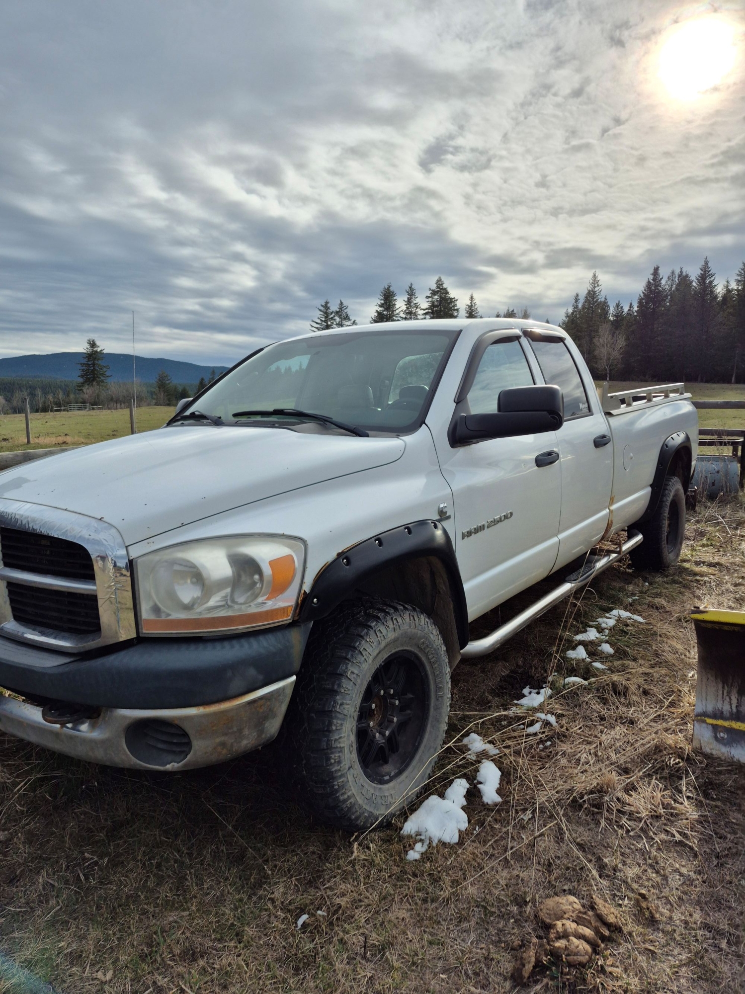 BC Livestock Sale Image