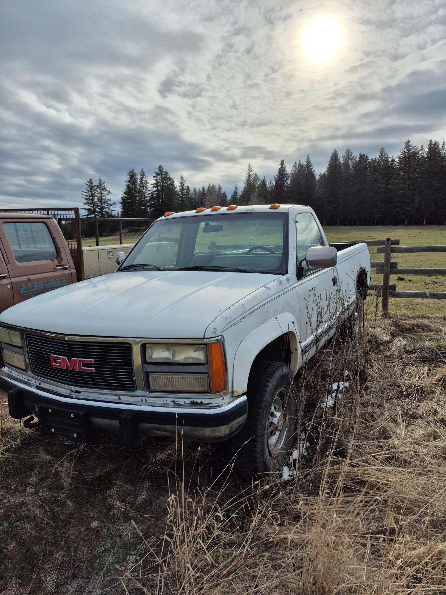BC Livestock Sale Image