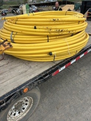 BC Livestock Sale Image