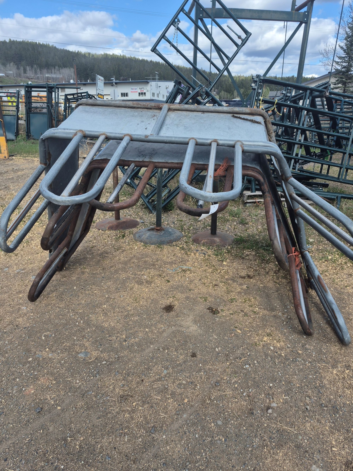 BC Livestock Sale Image