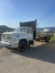 BC Livestock Sale Image